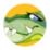 Croco le crado